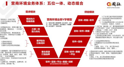 营商环境视域下我国转供电治理提升路径研究——基于第105期《国脉智库·营商环境周刊》的思考
